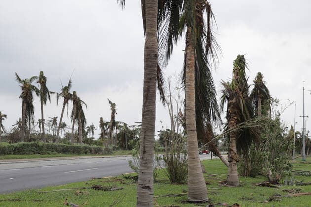 General view of Palms that fell due to the strong gusts of wind of 130 kilometers per hour, which brought Hurricane Zeta, in category 1 of the Saffir-Simpson scale; It is the third environmental phenomenon of its kind that has been recorded in a month. State authorities have launched a prevention operation where more than 70 shelters have been set up for affected people on October 27, 2020 in Cancun, Mexico Where: Cancun, Mexico When: 27 Oct 2020 Credit: Eyepix Cover Images Copyright: xRodolfoxFloresx 40976049 EDITORIAL USE ONLY. NOT FOR USE BY NEWSPAPERS BASED IN THE UK.