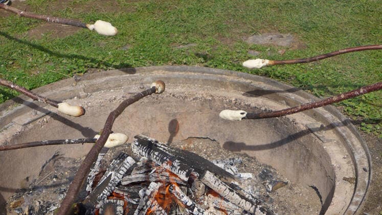 Kinder backen Stock-Brot ueber einem Lagerfeuer, Deutschland children baking bread over a campfire, Germany BLWS628254 *** Children baking stick bread over a campfire, Germany children baking bread over a campfire, Germany BLWS628254 Copyright: xblickwinkel M.xHenningx