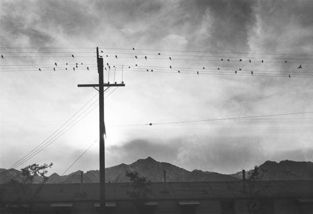 October 11, 2020, Manzanar, California, USA: Birds on Wires at Sunset with Mountains in Background, Manzanar Relocation Center, Manzanar, California, USA, Ansel Adams, Manzanar War Relocation Center photographs, 1943 Manzanar USA - ZUMAg145 20201011_zza_g145_004 Copyright: xJTxVintagex