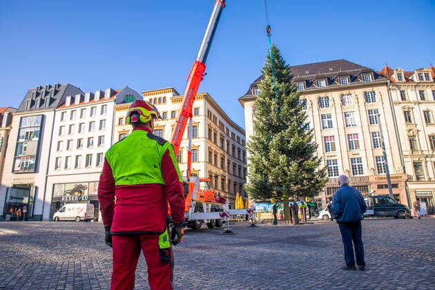 Bilder des Jahres 2020, News 11 November News Themen der Woche KW45 News Bilder des Tages Trotz Absage des Leipziger Weihnachtsmarktes im Jahr 2020, wurde am Morgen des 5. November 2020 eine aus dem Vogtland stammende Douglasie auf dem Leipziger Markt aufgestellt. Mit Hilfe der Feuerwehr und ihrem Kran konnte eine Spezialfirma den Baum erfolgreich aufstellen. *** Despite the cancellation of the Leipzig Christmas market in 2020, a Douglas fir from the Vogtland region was placed on the Leipzig market on the morning of 5 November 2020 With the help of the fire brigade and its crane, a specialist company was able to successfully place the tree
