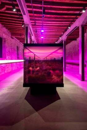 Architektur von Grafton Architects 16Â° Venice Architecture Biennale curated by Grafton Architects in 2018. Argentinian Pavilion: Horizontal Vertigo by Javier Mendiondo, Pablo Anzilutti, Franciso Garrido and Federico Cairoli.  Copyright: xFrancescoxRussox