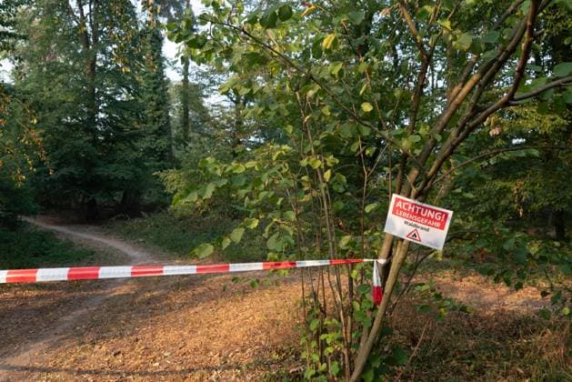 Absperrungen während eines Waldbrandes *** Barriers during a forest fire 1074704032