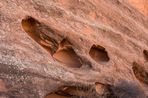 Creative Highlights World Erosion patterns called tafoni or rock lace in a sandstone wall in Colorado National Monument, Colorado, USA. Grand Junction Colorado National Monument Colorado United States Copyright: xJonxG.xFullerx JGF-landscapes-Colorado NM-US-CO-8514