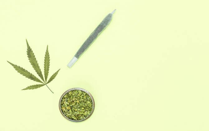Big marijuana joint, grinder full of chopped weed and leaf on yellow background with copy space right. Madrid, Community of Madrid, Spain CR_SCOVMN201105-549723-01