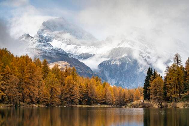 Autumnal larch forest at the Palpuognasee, snow-covered mountains with cloud atmosphere, Lei da Palpuogna, Albulapass, Grisons, Switzerland, Europe Copyright: imageBROKER/RobertxHaasmann ibxroh06060121.jpg