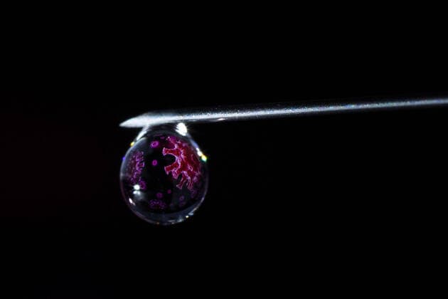 Symbol photo on the subject of a vaccine against corona An illustration of the corona virus is shown in the drop on a syringe from Berlin, 19 11 2020 Biontech is working on a promising vaccine against the corona virus Berlin Germany Copyright: xFlorianxGaertner photothek.dex