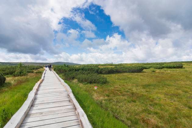 Upy Bog (Upske raseliniste, torfowisko upy, Aupa-Moor), plank way, hiker Pec pod Snezkou (Petzer) Kralovehradecky, Hradec Kralove Czech Krkonose (Giant Mountains, Riese