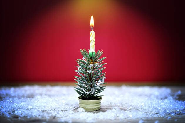 Mini-Weihnachtsbaum *** Mini Christmas tree ** NUR FUER REDAKTIONELLE ZWECKE ** EDITORIAL USE ONLY **