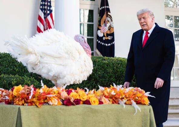 Donald Trump, 75. Geburtstag am 14. Juni Bilder des Jahres 2020, Entertainment 11 November Entertainment Themen der Woche KW48 Entertainment Bilder des Tages November 24, 2020, Washington, District of Columbia, USA: United States President Donald J. Trump, pardons Corn, the National Thanksgiving Turkey, during a ceremony in the Rose Garden at the White House on Tuesday, November 24, 2020 Washington USA - ZUMAs152 20201124_zaa_s152_045 Copyright: xKevinxDietschx-xPoolxViaxCnpx