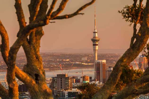 Sunrise at Mount Eden with Sky Tower, Auckland, North Island, New Zealand, Pacific Copyright: MarkusxLange 1160-4564