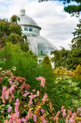 Enid A. Haupt Conservatory and pond with water lilies Greenhouse, New York Botanical Garden, Bronx, New York City, New York State, USA. New York New York USA Copyright: xSergixReboredox SRE-BS5332