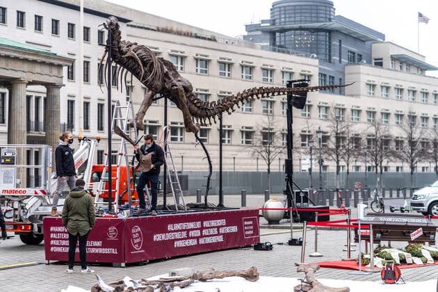 09 12 2020,Berlin,Germany,GER,Dark red alert picket in front of the Brandenburg Gate DINO