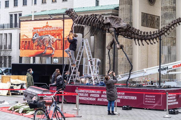 09 12 2020,Berlin,Germany,GER,Dark red alert picket in front of the Brandenburg Gate DINO