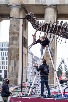 09 12 2020,Berlin,Germany,GER,Dark red alert picket in front of the Brandenburg Gate DINO