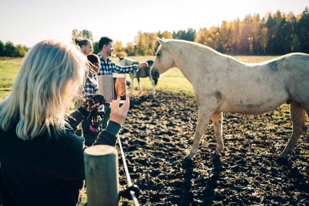 IMAGO Creative: Landleben - Alfresco, Draußen IMAGO Creative: Landleben, Digitalisierung auf dem Land Mature female farmer photographing friends and horse at animal pen , model released, property released Copyright: xMaskotx , MA60741