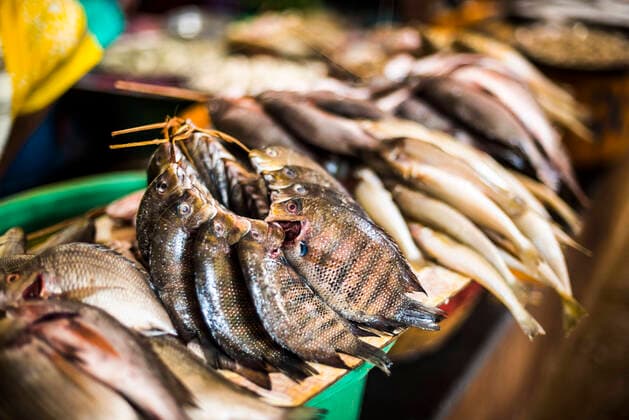 IMAGO Creative, Unsere Erde, Umweltverträgliche Herausforderungen des 21. Jahrhunderts, Überfischung Fish for sale in Mapusa Market, Goa, India Mapusa Asia Goa India Copyright: xMatthewxWilliams-Ellisx MWE_19023