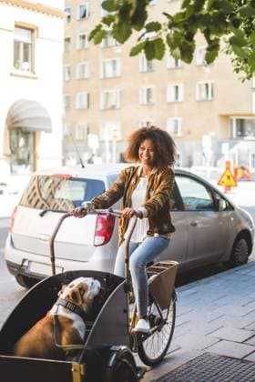 Full length of happy woman riding bicycle cart with bulldog on sidewalk by car in city , model released Copyright: xMaskotx , MA67444