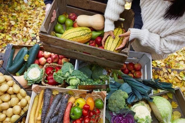 High angle view of woman arranging pumpkin in basket at yard , model released, property released Copyright: xMaskotx , MA77115