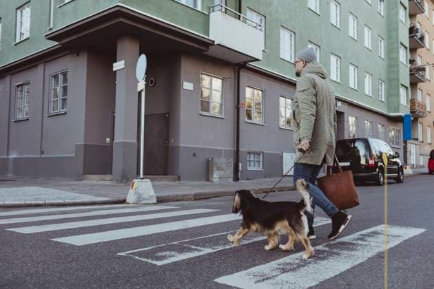 Full length of man crossing street with dog in city Sweden, Stockholm, model released Copyright: xMaskotx , MA79759