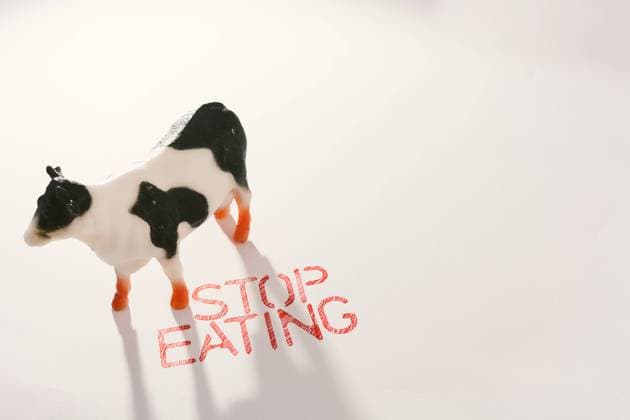 Slogan calling to stop eating animals Copyright: xLuisxMarioxHernandezx Model Released