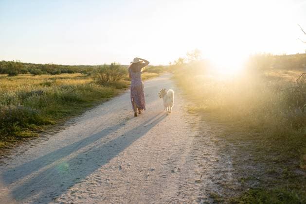 IMAGO Creative: Sommer, Abendspaziergang Back view of unrecognizable delighted female in dress walking along sandy road with Alaskan Malamute while enjoying weekend during sunset in countryside, Model released Copyright: xMartaxMachinx MR