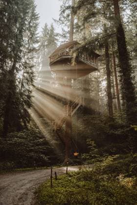 IMAGO Creative, Leben im Bamhaus Huge wooden house placed between pine trees above ground in woods in Biscay Copyright: xMartaxMartinezx Model Released