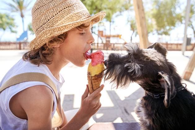 Side view of kid licking ice cream cone with dog while sitting on bench during summer vacation Copyright: xPhilippexDegrootex Model Released