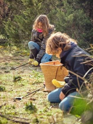 IMAGO Creative: Zivildienst und ehrenamtliches Engagement Side view of teenagers cleaning up garbage from ground in park near container and litter pickers Copyright: xPhilippexDegrootex Model Released