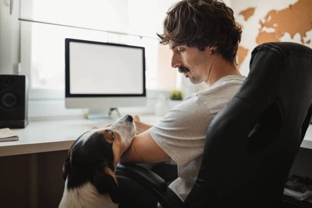 IMAGO Creative, Health, Hunde im B?ro reduzieren Stress IMAGO Creative: 2021 Trends IMAGO Creative: Kreative Renaissance -- der junge Entrepreneur Side view of serious male entrepreneur sitting on office chair and looking at cute dog during remote work Copyright: xRaquelxArocenax Model Released
