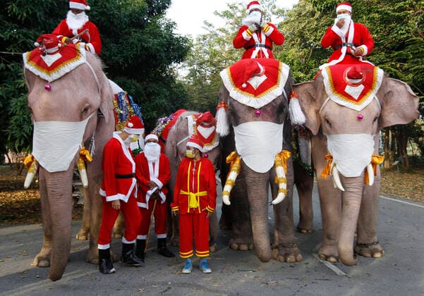 Entertainment Themen der Woche KW52 Bilder des Jahres 2020, News 12 Dezember News Bilder des Tages December 23, 2020, Ayutthaya, Thailand: Mahouts dress elephants as Santa Claus to help distribute face masks to students, as a preventive measure against the spread of covid-19 as they arrives at Jirasart school ahead of Christmas celebrations in Ayutthaya province, north of Bangkok. Ayutthaya Thailand - ZUMAs197 20201223_zaa_s197_029 Copyright: xChaiwatxSubprasomx