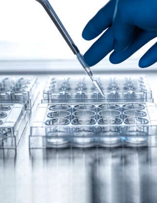 Hand of scientist pipetting sample into microplate model released Symbolfoto property released ABRF00804