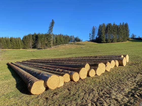 Woodcutting on Auerberg mountain in Stoetten am Auerberg, Bavaria, Germany, December 18, 2020.
