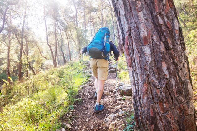 IMAGO Creative: Clickbait, Sport und Fitness Hike in the forest Man hiking bay the trail in the forest., model releasedactivity, adventure, amazing, autumn, backpack, beautiful, cliff, climb, cloud, enjoying, explore, extreme, forest, gear, high, hike, hiker, hiking, hills, human, land, looking, man, mountain, nature, outdoors, peak, poles, risk, rock, route, scandinavia, scenic, slovakia, stick, toned, tourism, track, trail, travel, tree, trekking, view, walking,  Copyright: xGalynaxAndrushkox 26335062