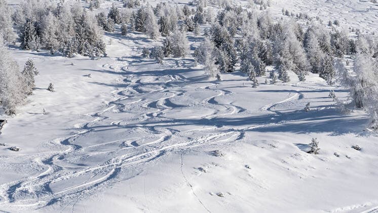 26 12 2020 summit Patscherkofel, Tirol, Austria ski tracks, ski tracks in deep snow free skiing terrain skiing, snowboarding off-piste snowboarding winter, winter landscape ski tour tracks of tourers, ski tourers
