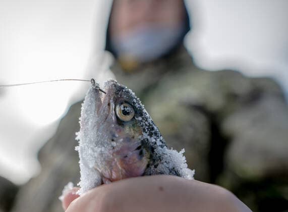 January 2, 2021, Fenton Lake, USA: .People kicked off the new year by going ice fishing at Fenton Lake in the Jemez mountains Saturday morning. This was the first day the lake opened for ice fishing. Due to recent cold weather, the lakes ice thickness is now at minimum standards for this access according to New Mexico State Parks officials. Pictured is Alexander Dye(Cq),16 of Albuquerque pulling in a Rainbow trout. Close to 80 folks came out early this morning to try their luck. .Jemez Mountains, New Mexico ABQ Journal Fenton Lake USA - ZUMAab1_ 20210102_zaf_ab1_001 Copyright: xRobertoxE.xRosalesx