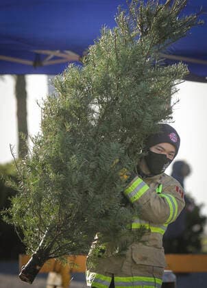 (210103) -- RICHMOND (CANADA), Jan. 3, 2021 -- A firefighter carries a Christmas tree at the annual Christmas tree chipping event in Richmond, British Columbia, Canada, on Jan. 3, 2021. Firefighters volunteered to help residents recycle their Christmas trees at the annual tree chipping event. (Photo by Xinhua) CANADA-RICHMOND-FIREFIGHTERS-CHRISTMAS TREE CHIPPING LiangxSen 