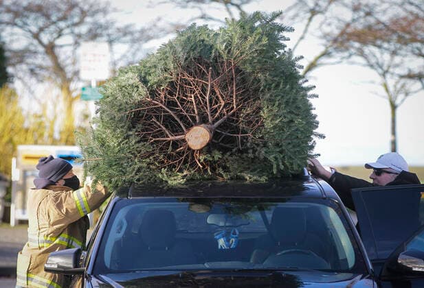 (210103) -- RICHMOND (CANADA), Jan. 3, 2021 -- A firefighter collects a Christmas tree from a resident at the annual Christmas tree chipping event in Richmond, British Columbia, Canada, on Jan. 3, 2021. Firefighters volunteered to help residents recycle their Christmas trees at the annual tree chipping event. (Photo by Xinhua) CANADA-RICHMOND-FIREFIGHTERS-CHRISTMAS TREE CHIPPING LiangxSen 