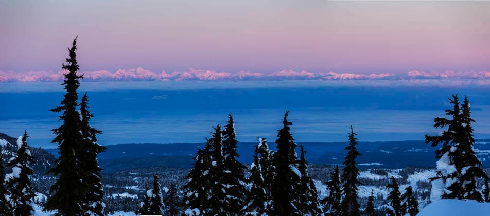 Cold color hues settle over a coastal forest with the British Columbia Coast Range and Georgia Strait in the background after sunset. The Comox Valley, Vancouver Island, British Columbia, Canada acp1, Copyright: xBoomerxJerrittx  acp120426 BoomerxJerritt