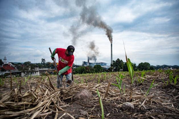 January 5, 2021, Coatepec, Veracruz, Mo xico: Farm workers cut the sugar cane in Veracruz. More than 6000 hectares of sugarcane are cut per year by migrant and indigenous workers from the center of the country. Coatepec MÃ xico - ZUMAqp1_ 20210105_zip_qp1_005 Copyright: xHectorxAdolfoxQuintanarxPerezx