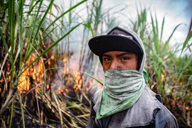 January 5, 2021, Coatepec, Veracruz, Mo xico: Farm workers cut the sugar cane in Veracruz. More than 6000 hectares of sugarcane are cut per year by migrant and indigenous workers from the center of the country. Coatepec MÃ xico - ZUMAqp1_ 20210105_zip_qp1_007 Copyright: xHectorxAdolfoxQuintanarxPerezx