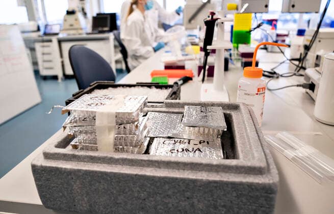 Researchers at Aalborg University are working on analyzing all positive Danish corona samples for the English virus variant cluster B 1 1 7, Friday 15 January 2021 It takes place at the Department of Chemistry and Life Sciences under the leadership of Professor Mads Albertsen and the results are sent daily to the Statens Serum Institut Here you can t  Copyright: HenningxBagger HenningxBaggerx COP103 spdk20210115-121958-L