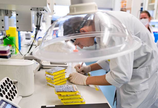Researchers at Aalborg University are working on analyzing all positive Danish corona samples for the English virus variant cluster B 1 1 7, Friday 15 January 2021 It takes place at the Department of Chemistry and Life Sciences under the leadership of Professor Mads Albertsen and the results are sent daily to the Statens Serum Institut Here you can t  Copyright: HenningxBagger HenningxBaggerx COP103 spdk20210115-122821-L