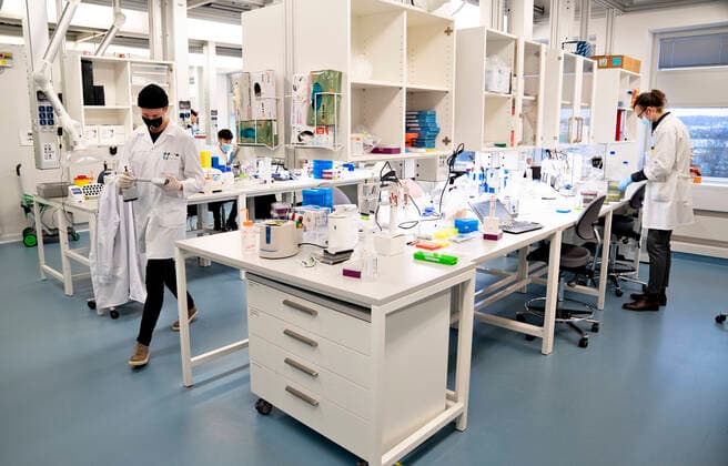 Researchers at Aalborg University are working on analyzing all positive Danish corona samples for the English virus variant cluster B 1 1 7, Friday 15 January 2021 It takes place at the Department of Chemistry and Life Sciences under the leadership of Professor Mads Albertsen and the results are sent daily to the Statens Serum Institut Here you can t  Copyright: HenningxBagger HenningxBaggerx COP103 spdk20210115-131027-L