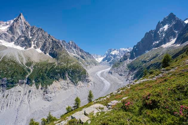  IMAGO Nature: Unsere Erde, Klimawandel, Gletscherschmelze  Rosafarbene Alpenrosen am Berghang, Gletscherzunge Mer de Glace, hinten Grandes Jorasses, Mont-Blanc-Massiv, Chamonix, Frankreich, Europa *** Pink alpine roses on the mountainside, glacier tongue Mer de Glace, behind Grandes Jorasses, Mont Blanc massif, Chamonix, France, Europe Copyright: imageBROKER/MoritzxWolf ibxmmw05910052.jpg