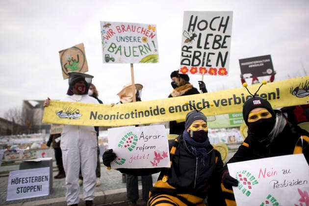 Agrar Demonstration - Wir Haben Es Satt DEU, Deutschland, Germany, Berlin, 16.01.2021 Demonstranten mit Schilder Agrarreform jetzt und Kostuem Biene zum Schutz fuer Bienen der Aktion Fussabdruecke bei der Demonstration Wir Haben Es Satt unter dem Motto Agrarwende Anpacken Bauernhoefe foerdern, Insekten schuetzen, das Klima retten gegen die Agrarindustrie vor dem Bundeskanzleramt im Regierungsviertel in Berlin. Bauern und Angestellte in der Landwirtschaft protestieren auf der Demonstration im Rahmen der Gruenen Woche. Die Landwirte protestieren fuer ein Verbot von Glyphosat, fuer eine oekologische Landwirtschaft, fuer Gutes Essen. Themen der Demo sind: gegen industrielle Tierfabriken, Industrialisierung der Landwirtschaft, gegen Dumping bei