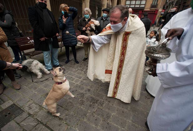Bilder des Jahres 2021, News 01 Januar News Themen der Woche KW02 News Bilder des Tages January 17, 2021, Pamplona, Navarra, Spain: A French bull dog seen blessed by the priest of the church of San Nicolas on the day of San Anton..Pet animals in Spain are blessed with holy water by their local priest on San Anton day. Pamplona Spain - ZUMAs197 20210117_zaa_s197_104 Copyright: xElsaxAxBravox