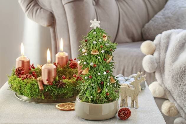 Christmas decoration in tree shape with moss, cinnamon sticks and rose hip and advent wreath on the table. Festive decor  BEW1D88CDBE