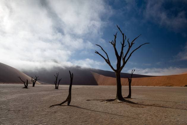 Sossusvlei Namib Naukluft Nationalpark, Namibia, Januar 2021 Tote Baeume und aufloesender Nebel im Deadvlei, Namib Naukluft Nationalpark, Namibia, Januar 2021. *** Sossusvlei Namib Naukluft National Park, Namibia, January 2021 Dead trees and clearing fog in Deadvlei, Namib Naukluft National Park, Namibia, January 2021 Copyright: xEibnerxPressefoto MichaelxMemmlerx EP_MMR