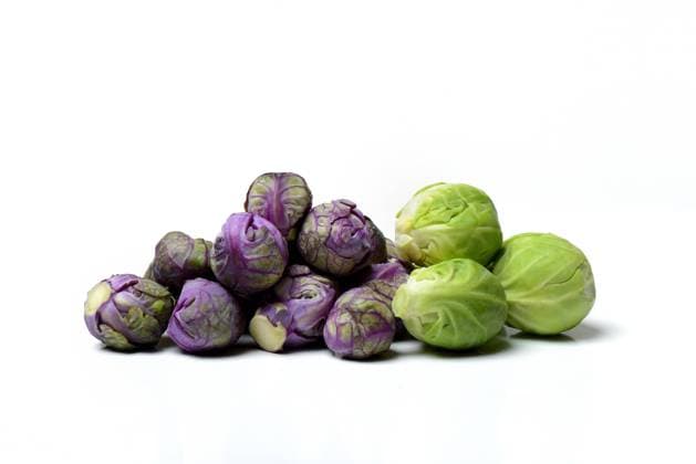  Violetter und grüner Rosenkohl *** Purple and green Brussels sprouts Copyright: imageBROKER/J.xPfeiffer iblpjr05187632.jpg