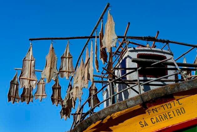 IMAGO Creative, Unsere Erde, Umweltverträgliche Herausforderungen des 21. Jahrhunderts, Überfischung Fischerboot, Trocknen aufgehängter Stockfisch, Madeira, Portugal, Europa *** Fishing boat, drying hung stockfish, Madeira, Portugal, Europe Copyright: imageBROKER/J.xPfeiffer iblpjr05185079.jpg